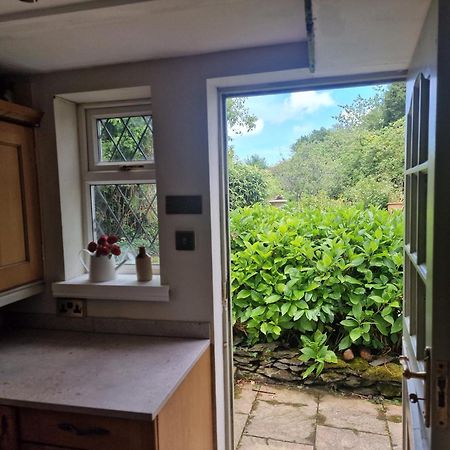 Glyn Isa Country House B&B And Self Catering Apartments 康威 外观 照片